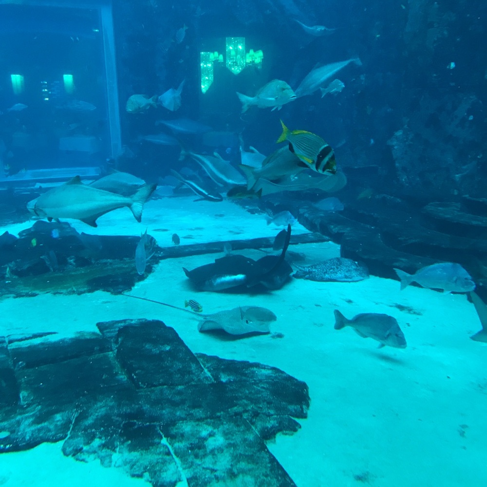 Meet your Posher, Lori